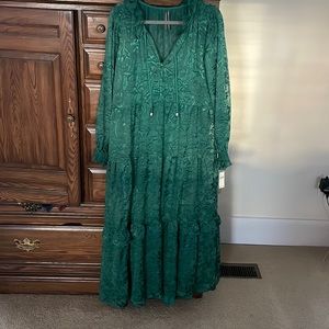 NWT Anthropologie Marais Maxi Dress L Green $230 Satin Burnout Edition HTF